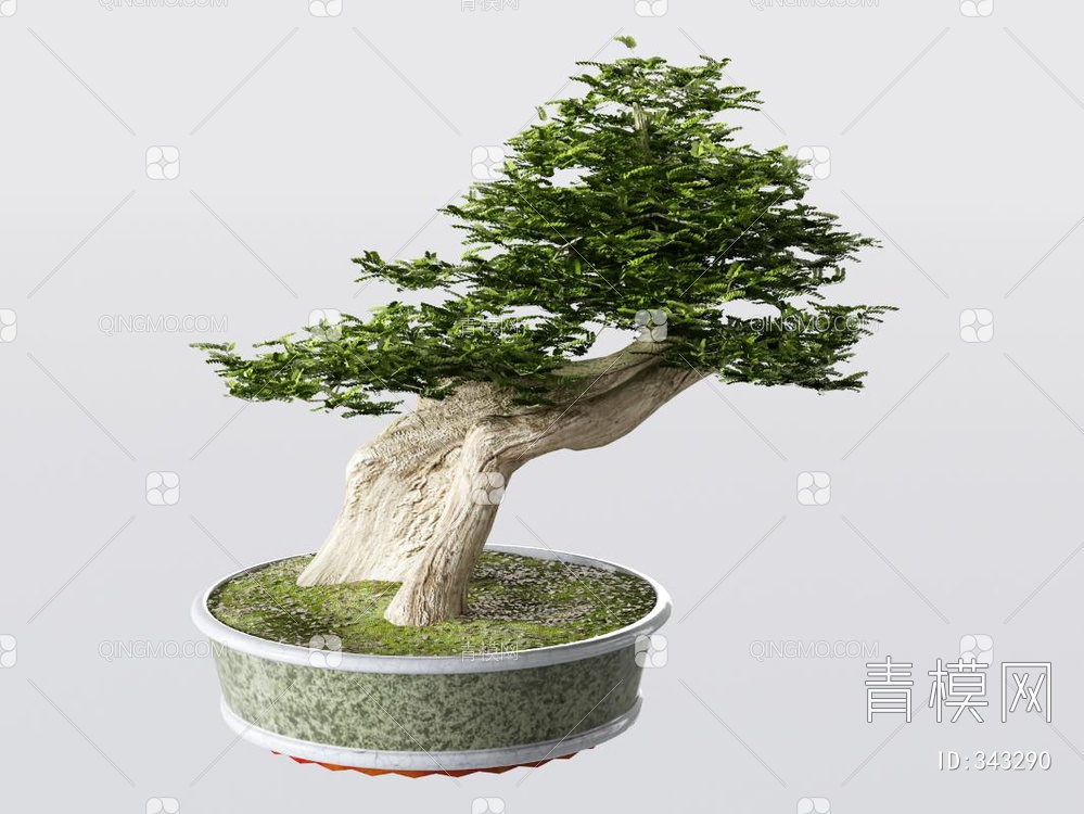 松树盆栽3D模型下载【ID:343290】