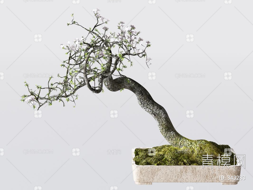 松树盆栽3D模型下载【ID:343283】