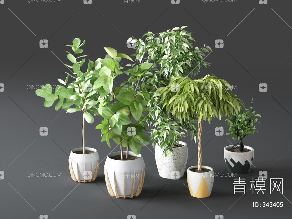 植物盆栽组合3D模型下载【ID:343405】