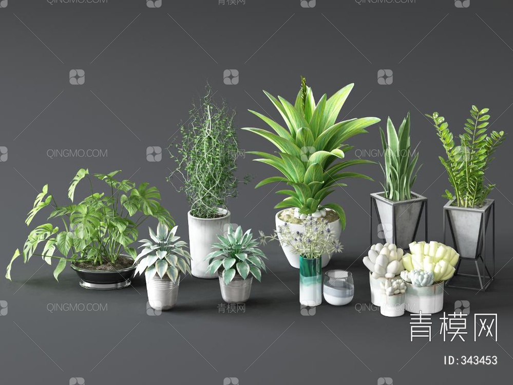 【植物盆栽组合3D模型】-现代VR无灯光有贴图MAX2014植物盆栽组合3d模型下载-ID343453-免费3Dmax模型库 - 青模3d模型网