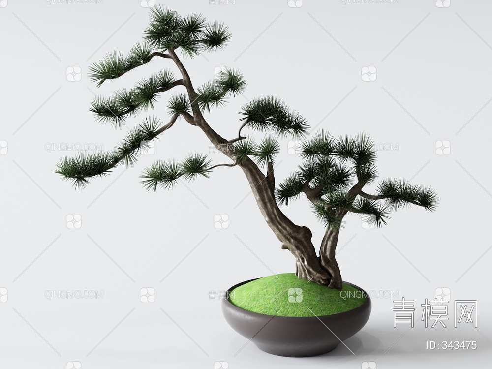 松树盆景3D模型下载【ID:343475】