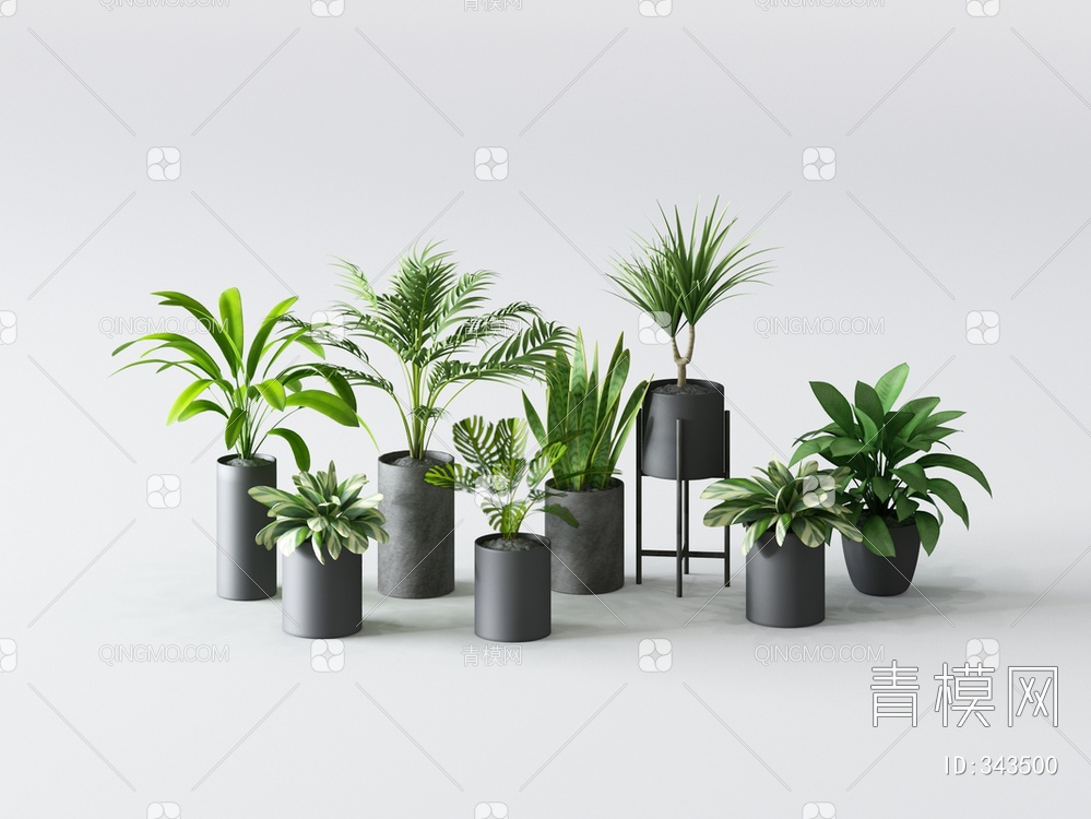 植物盆栽组合3D模型下载【ID:343500】