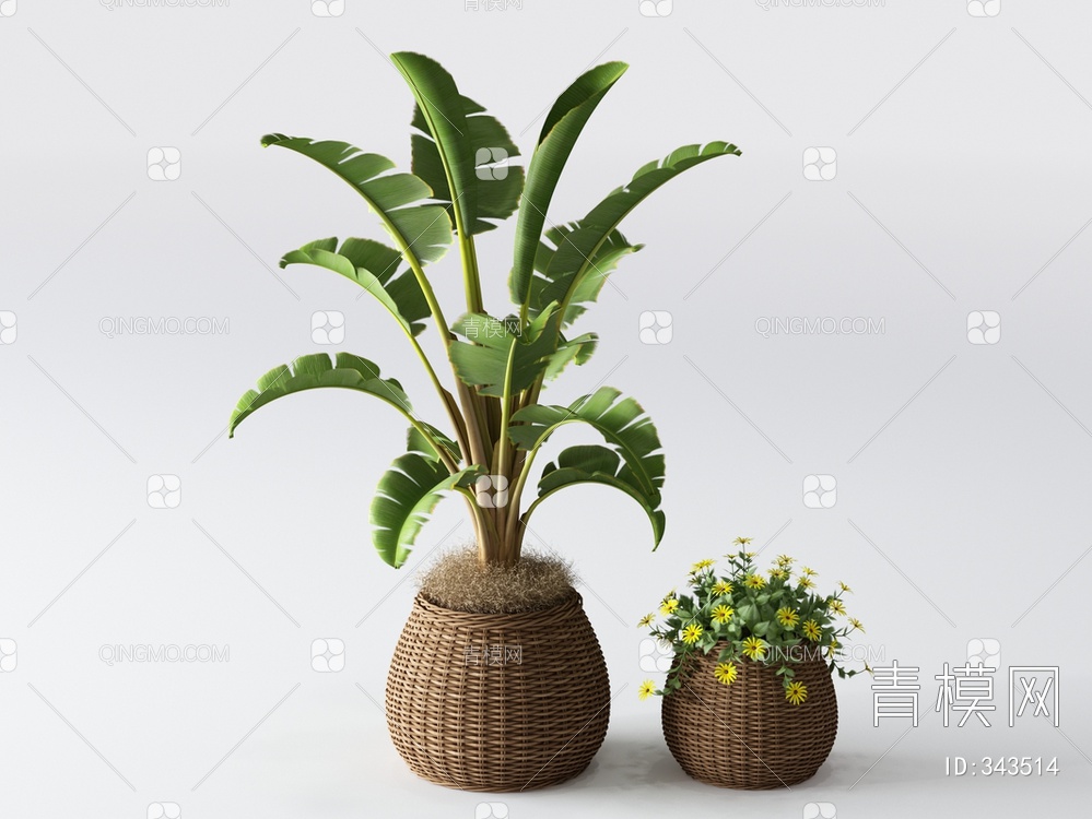 草编花盆植物组合3D模型下载【ID:343514】
