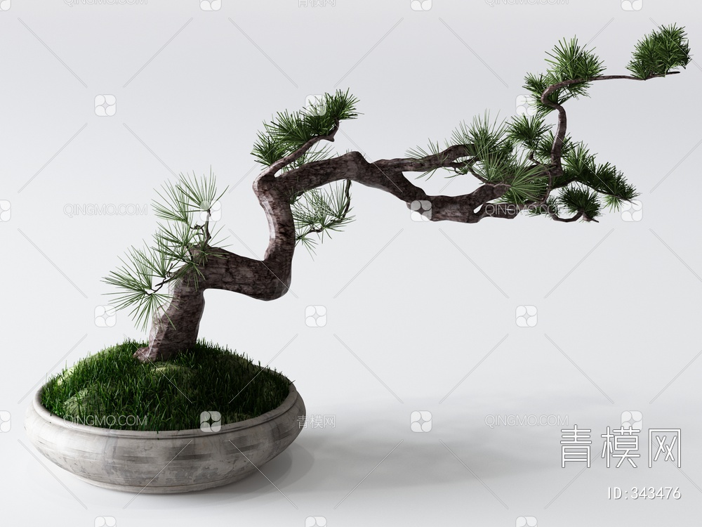松树盆栽3D模型下载【ID:343476】