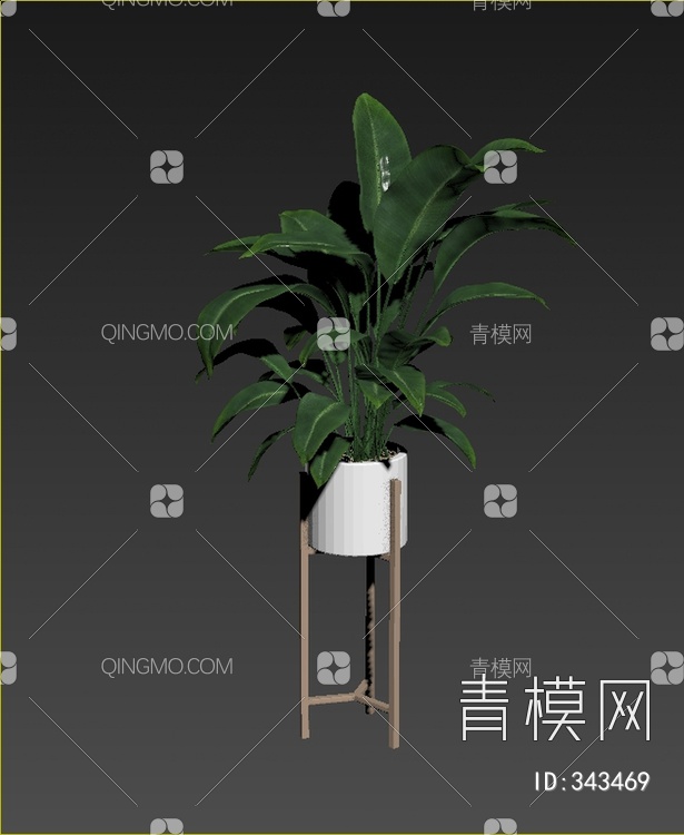 植物盆栽3D模型下载【ID:343469】