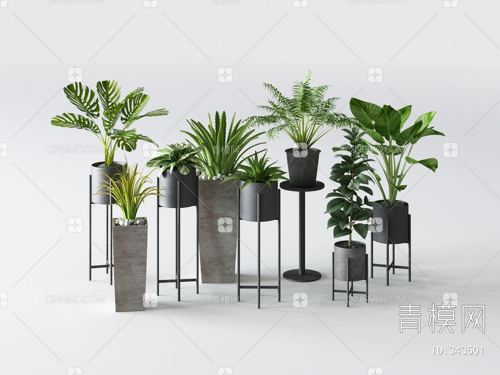 植物盆栽组合3D模型下载【ID:343501】