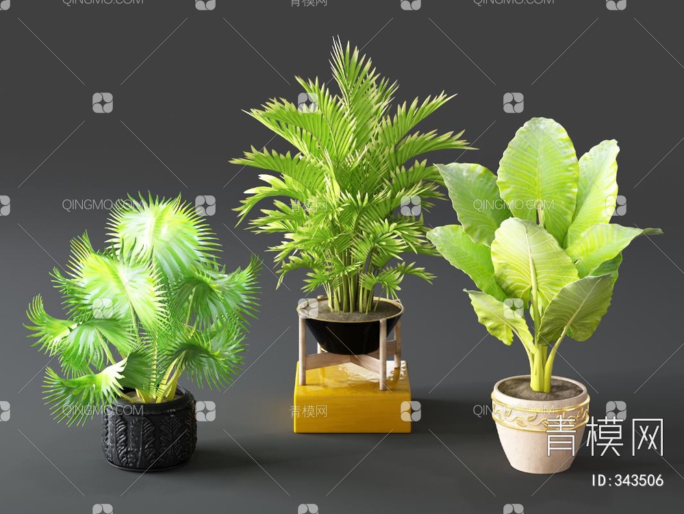 植物盆栽组合3D模型下载【ID:343506】