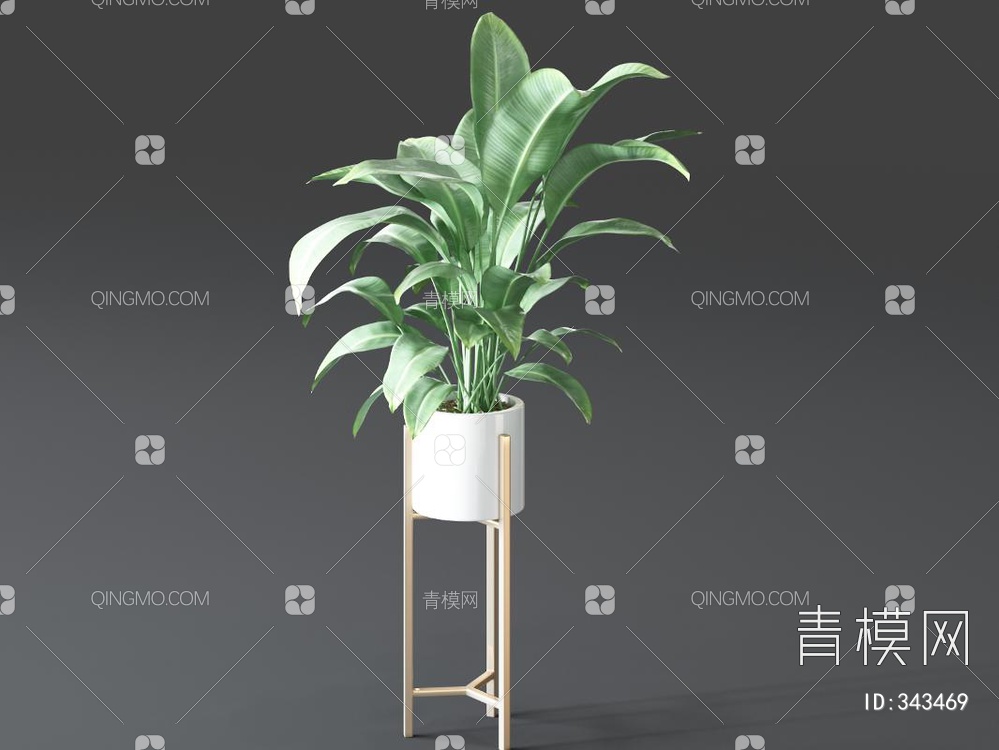 植物盆栽3D模型下载【ID:343469】