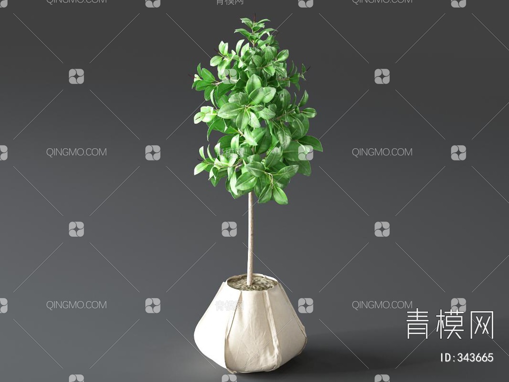 植物盆栽3D模型下载【ID:343665】