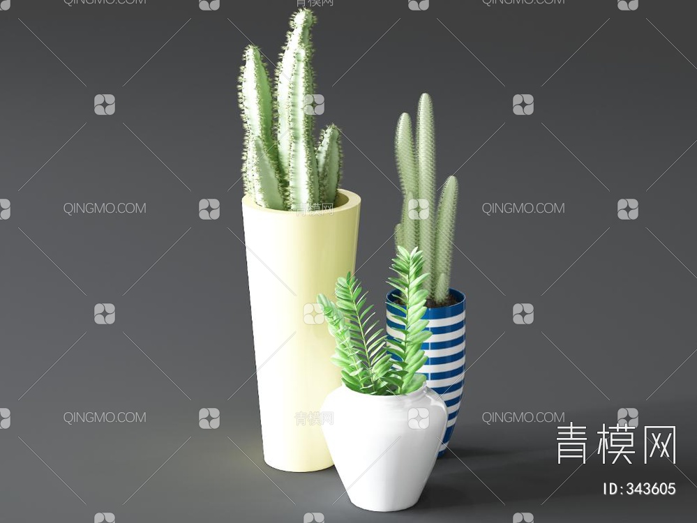 仙人掌盆栽3D模型下载【ID:343605】