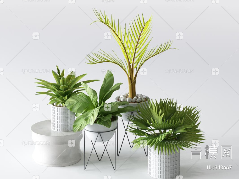 植物盆栽3D模型下载【ID:343667】