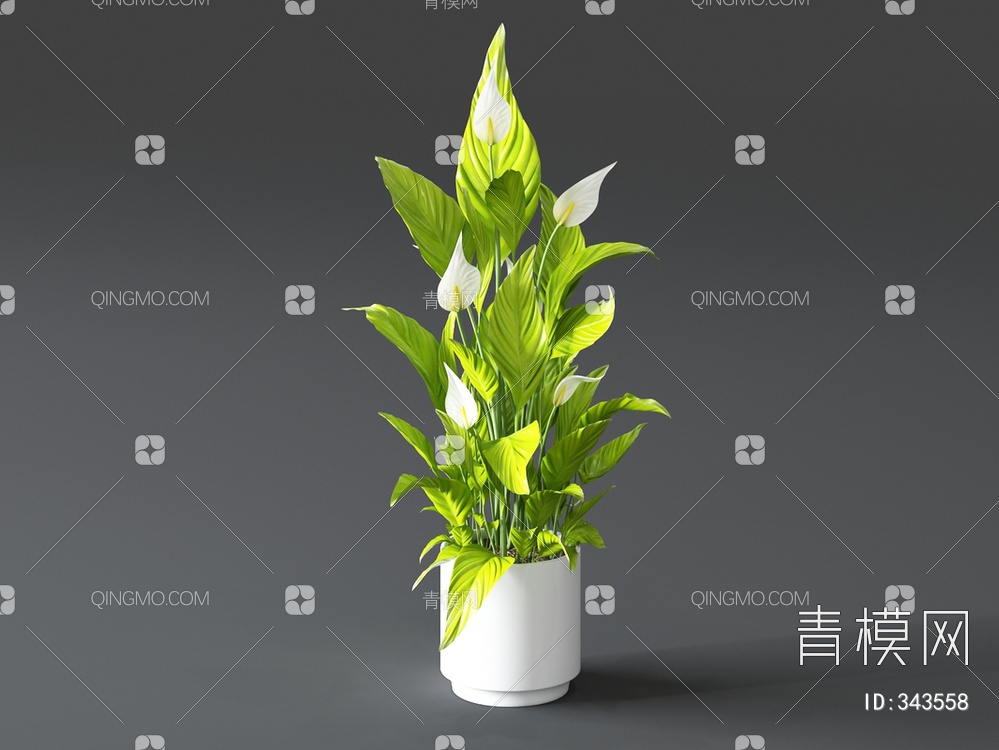 植物盆栽3D模型下载【ID:343558】