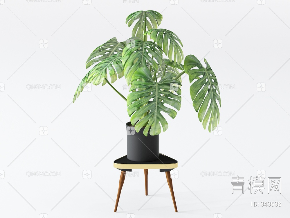 植物盆栽3D模型下载【ID:343538】