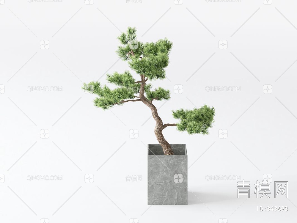 植物盆栽3D模型下载【ID:343693】