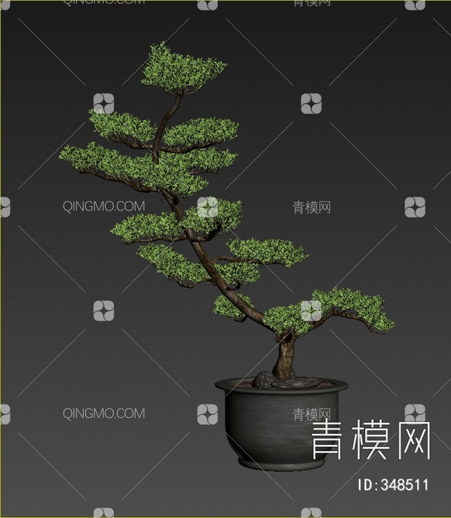 松树盆栽3D模型下载【ID:348511】