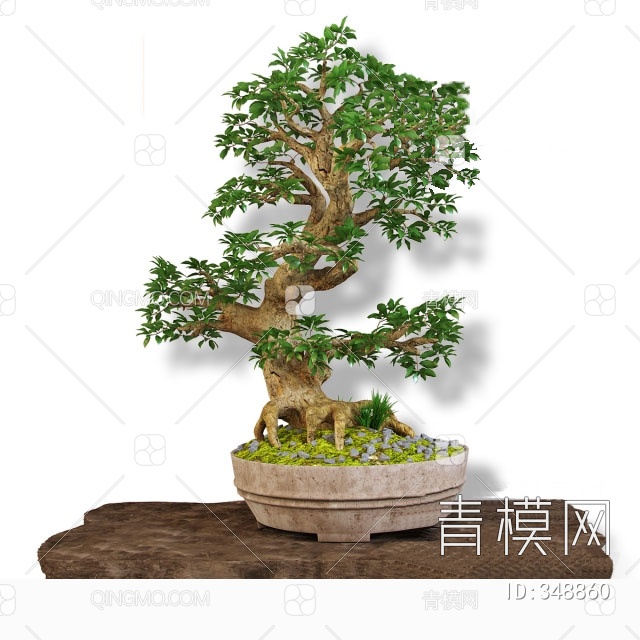 植物盆栽盆景3D模型下载【ID:348860】