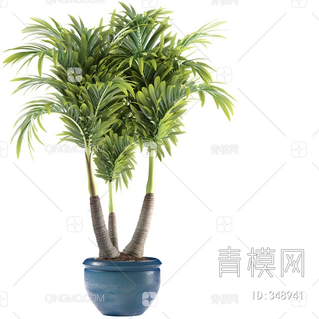 植物盆栽3D模型下载【ID:348941】