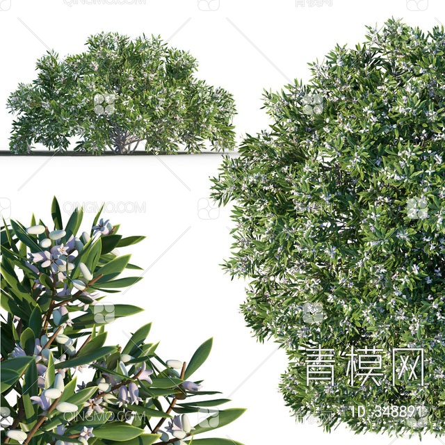 灌木丛模型3D模型下载【ID:348891】