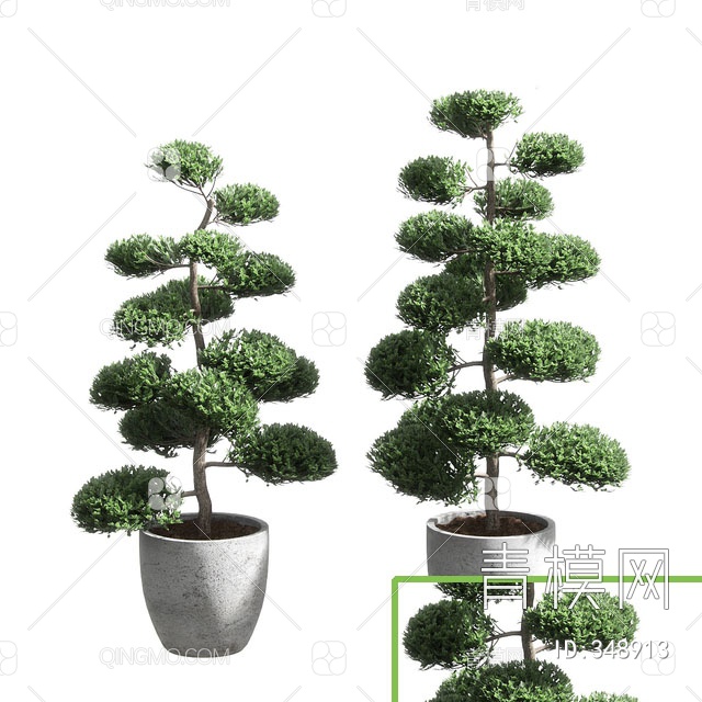 植物盆栽树3D模型下载【ID:348913】