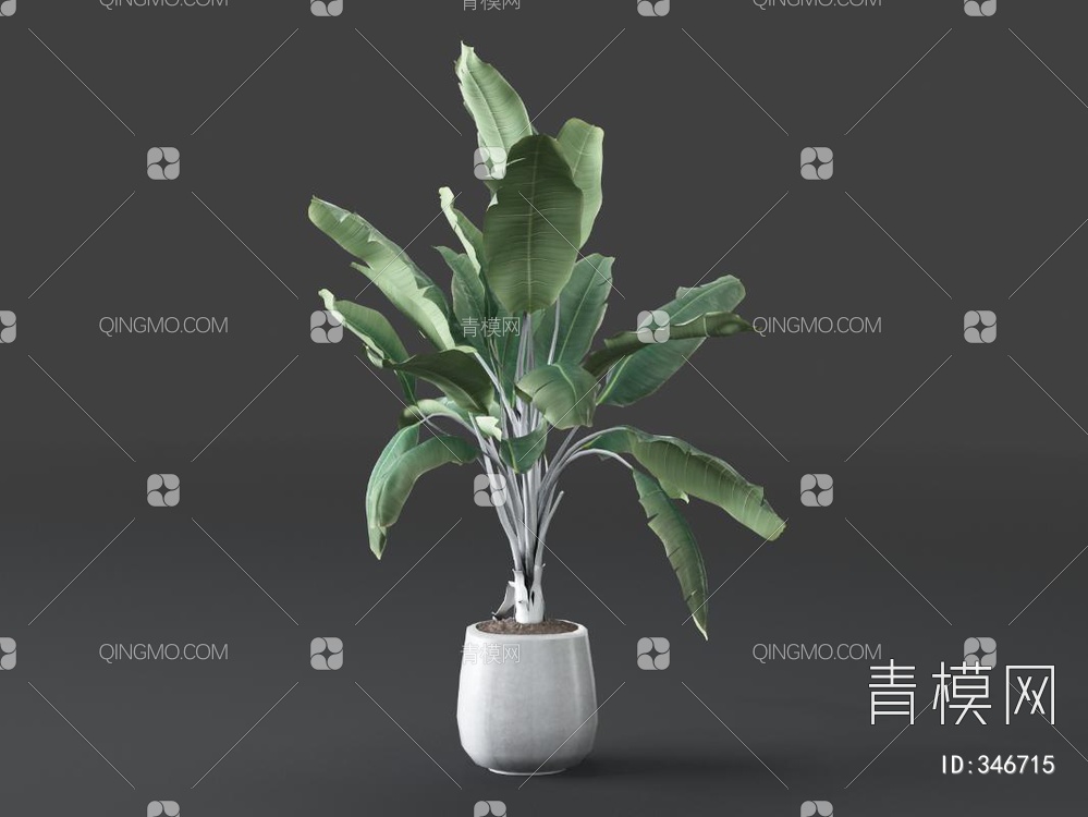 盆栽3D模型下载【ID:346715】