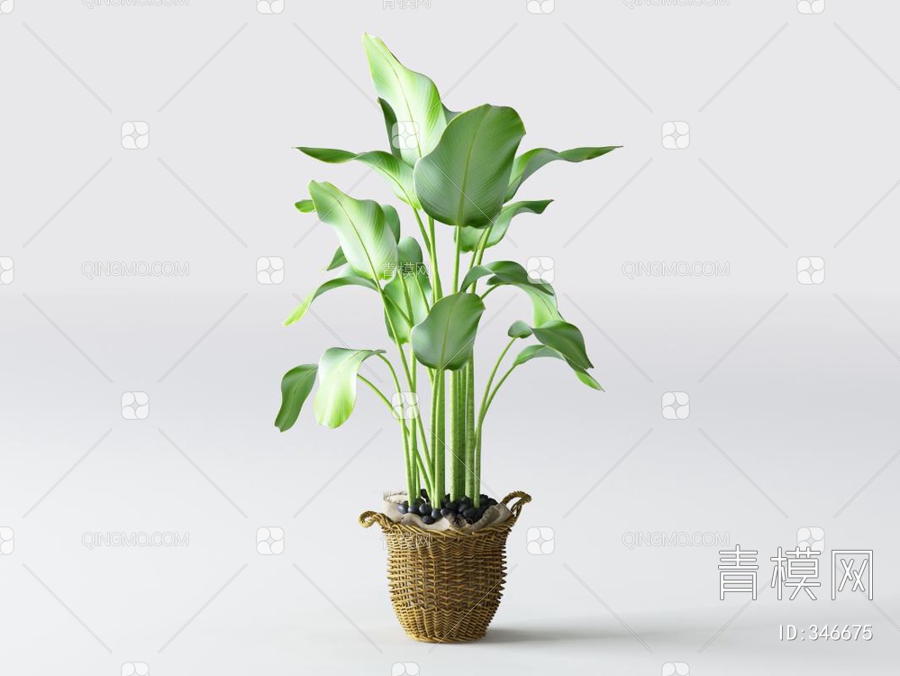 盆栽3D模型下载【ID:346675】