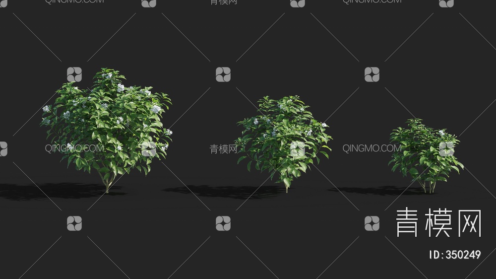 花卉组合3D模型下载【ID:350249】