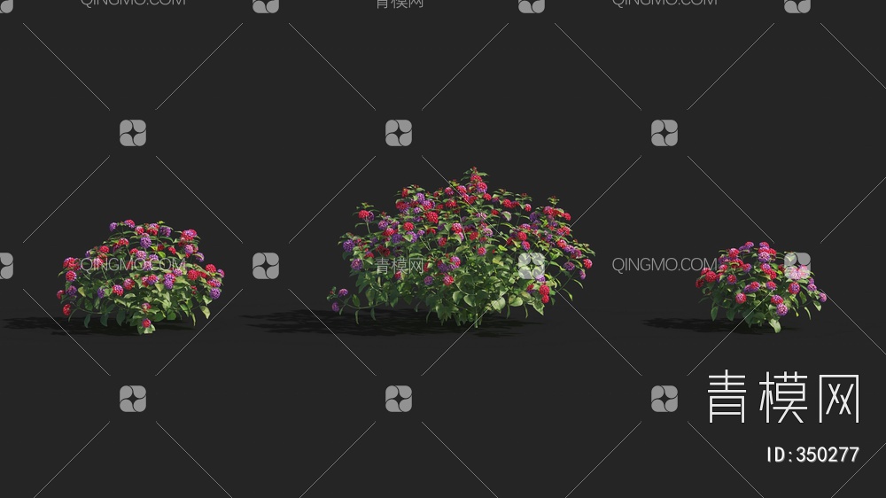 花卉组合3D模型下载【ID:350277】