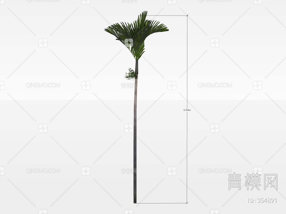 棕榈树SU模型下载【ID:354891】