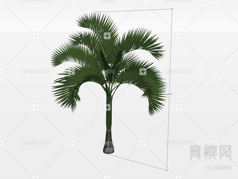 棕榈树SU模型下载【ID:354905】