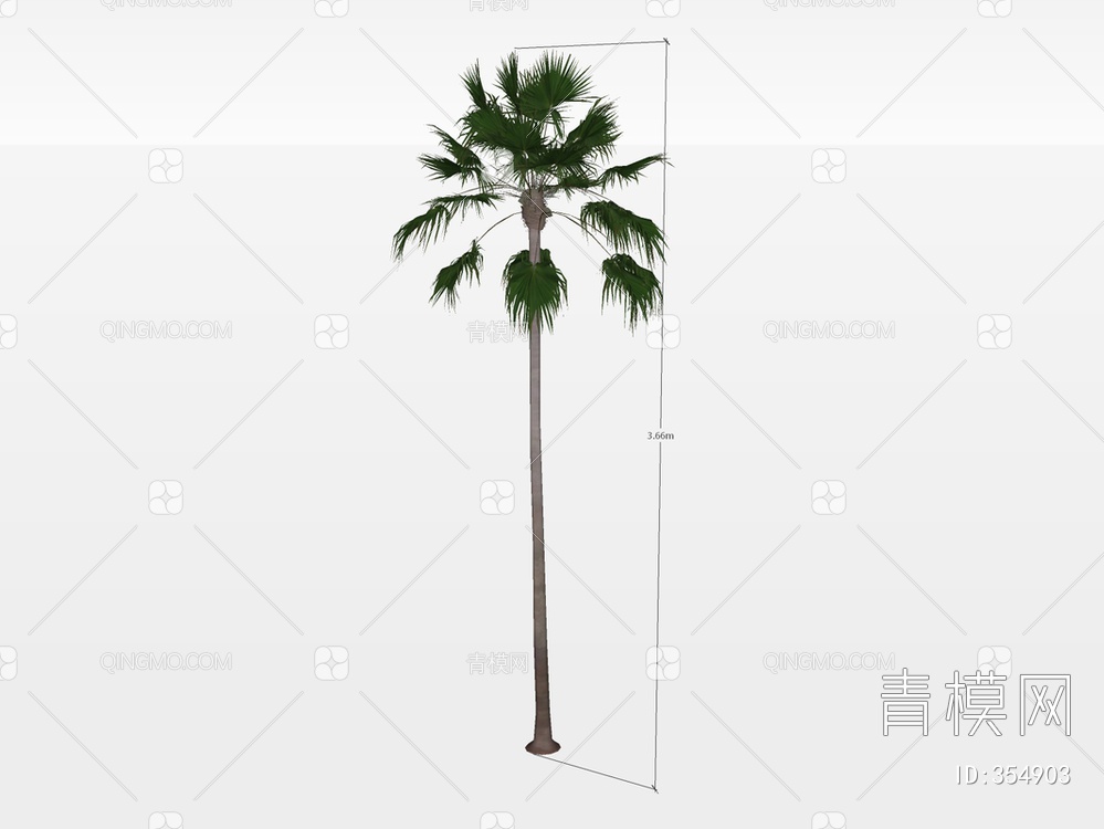 棕榈树SU模型下载【ID:354903】