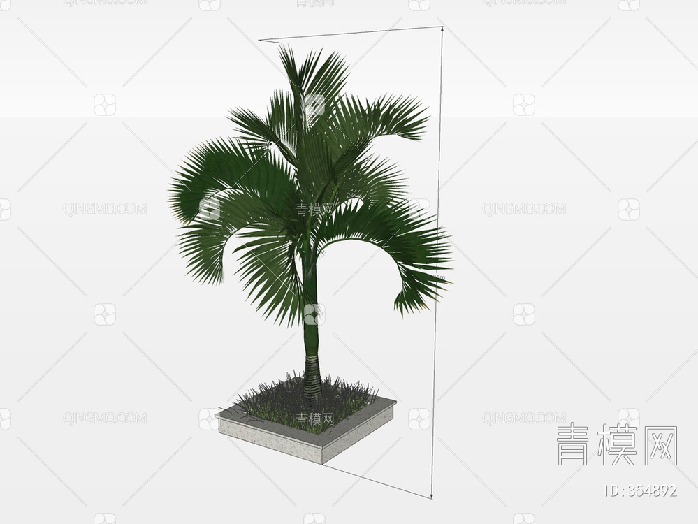 棕榈树SU模型下载【ID:354892】