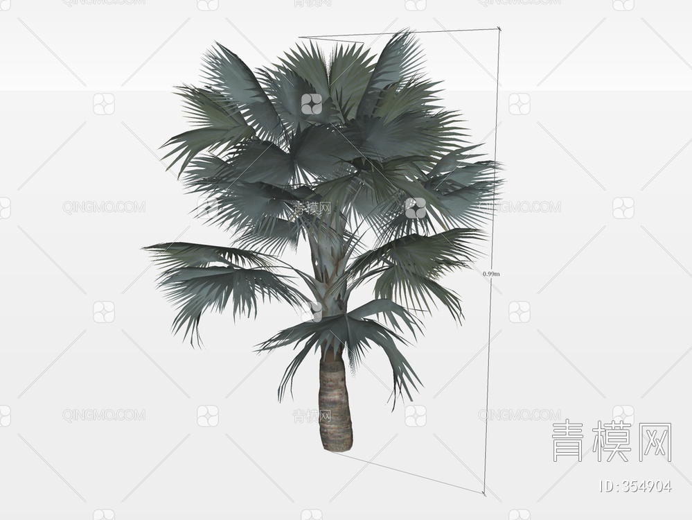棕榈树SU模型下载【ID:354904】