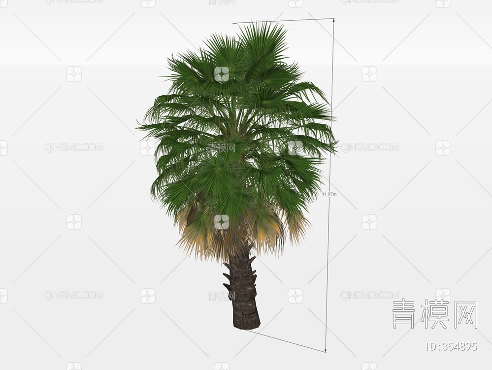 棕榈树SU模型下载【ID:354895】