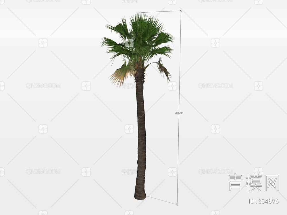 棕榈树SU模型下载【ID:354896】