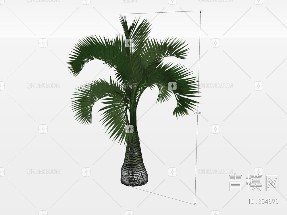 棕榈树SU模型下载【ID:354893】