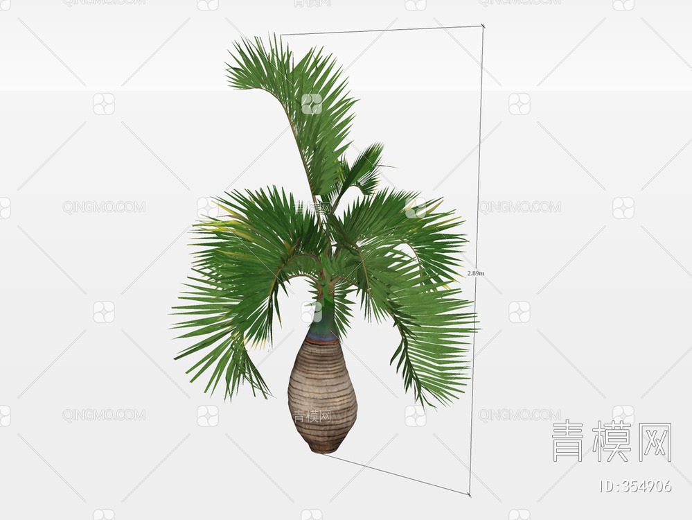 棕榈树SU模型下载【ID:354906】