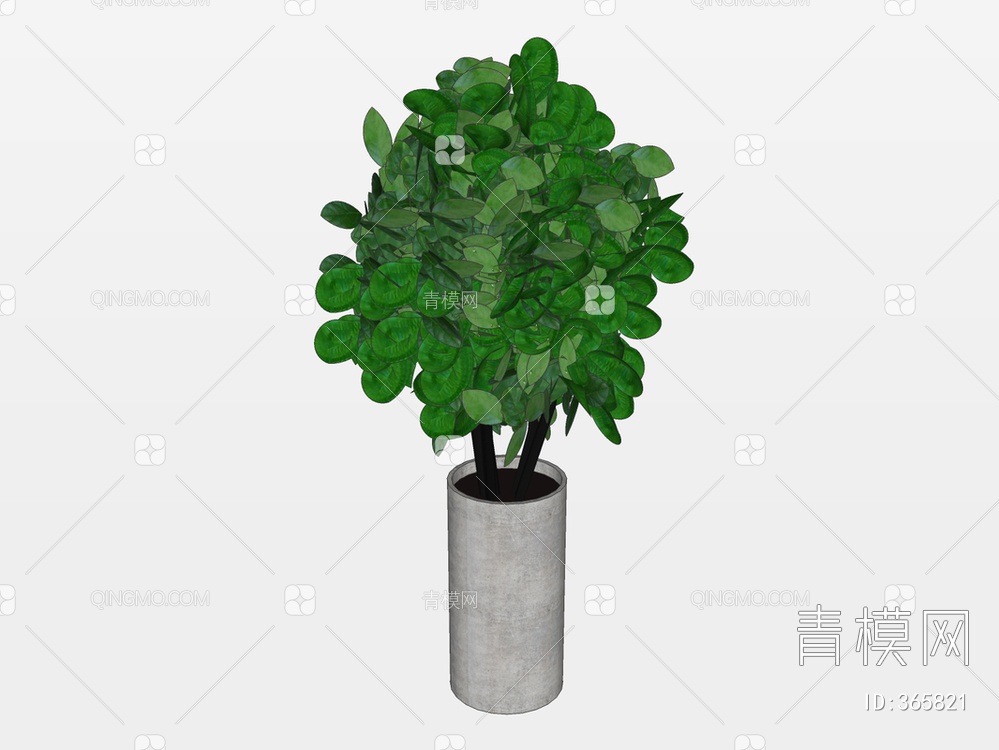 盆栽植物SU模型下载【ID:365821】