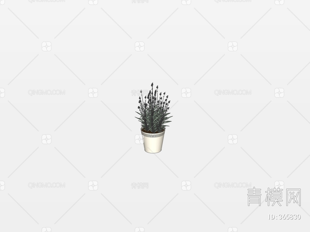 盆栽植物SU模型下载【ID:365830】