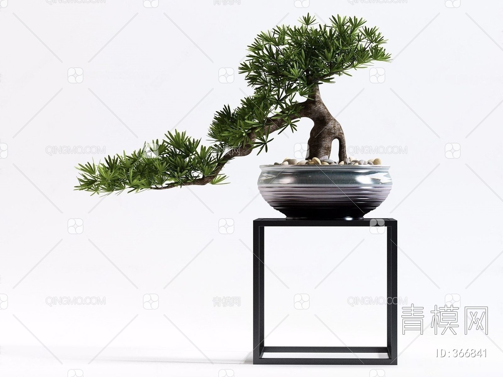 松树植物盆栽3D模型下载【ID:366841】