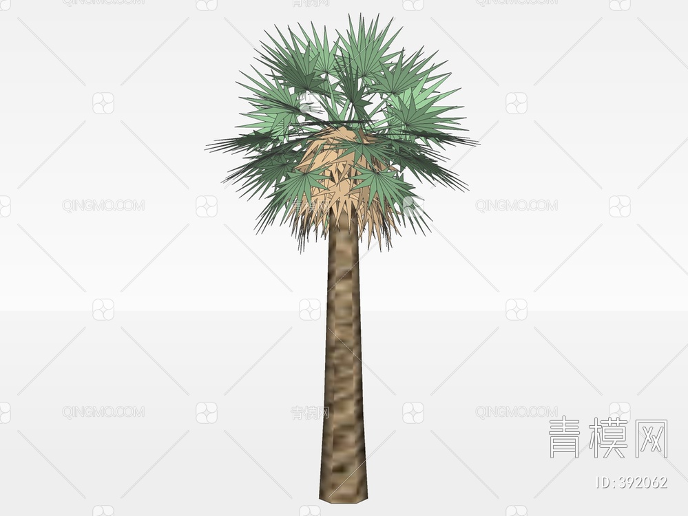 棕榈树SU模型下载【ID:392062】