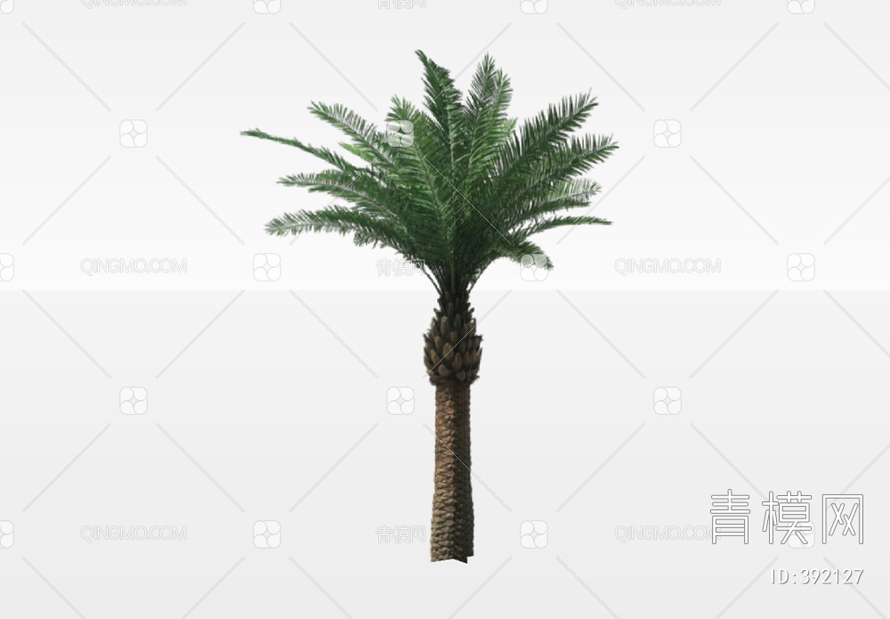 棕榈树SU模型下载【ID:392127】