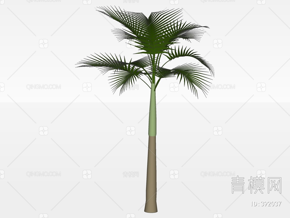 棕榈树SU模型下载【ID:392037】