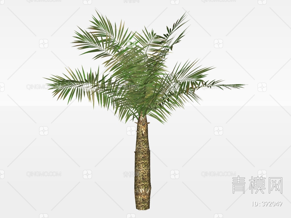 棕榈树SU模型下载【ID:392049】