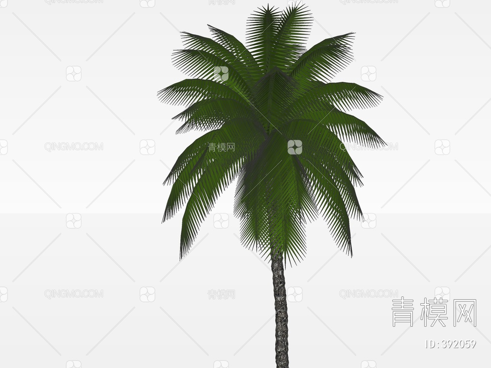 棕榈树SU模型下载【ID:392059】