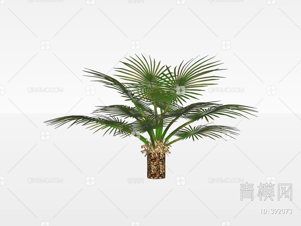 棕榈树SU模型下载【ID:392073】
