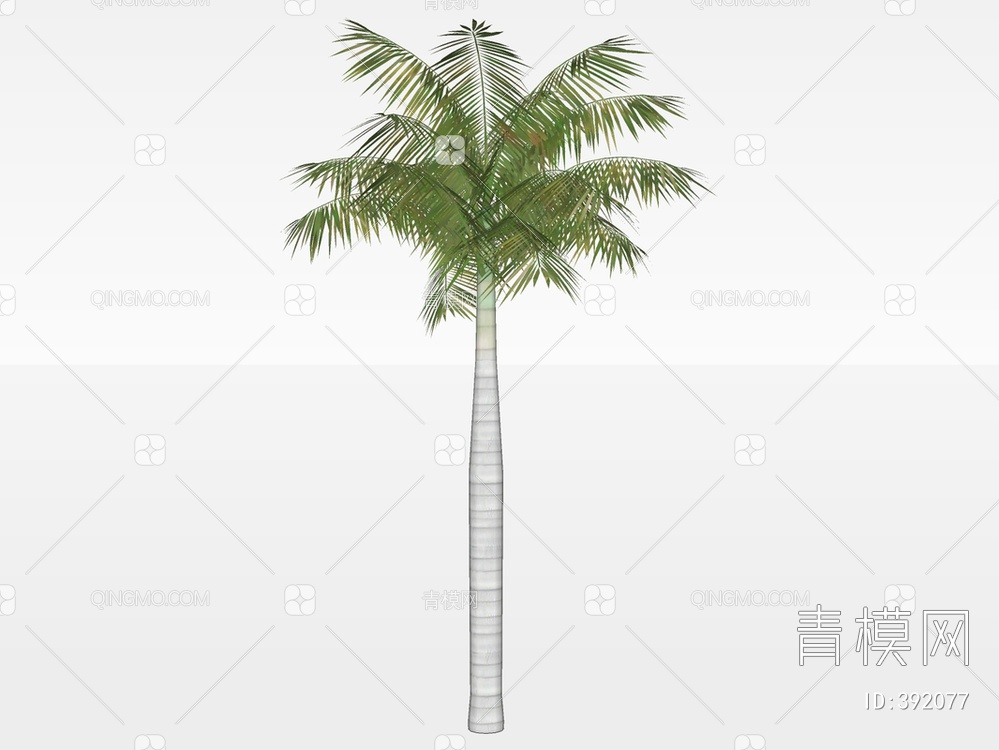 棕榈树SU模型下载【ID:392077】