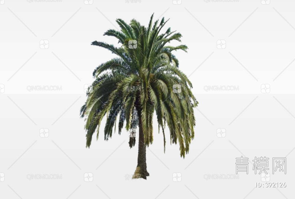 棕榈树SU模型下载【ID:392126】