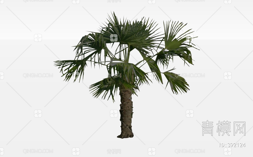 棕榈树SU模型下载【ID:392124】