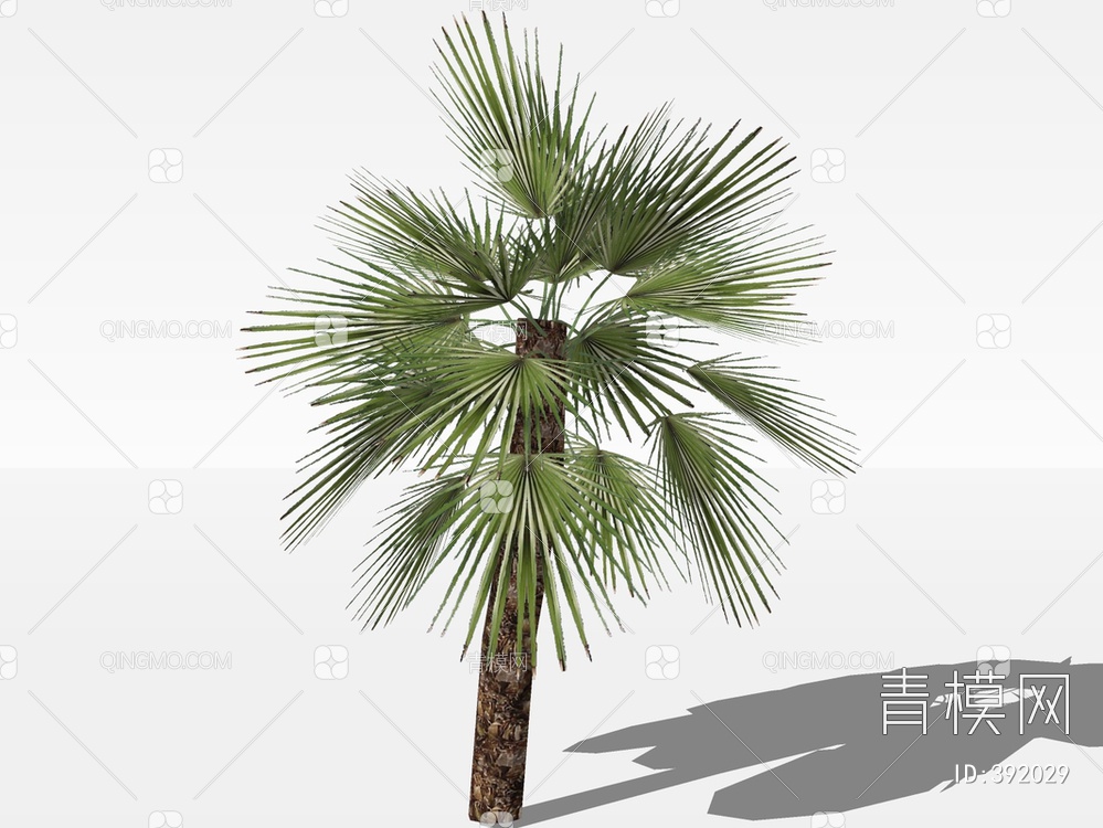 棕榈树SU模型下载【ID:392029】