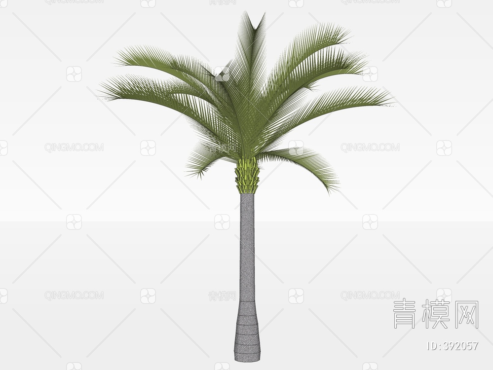 棕榈树SU模型下载【ID:392057】